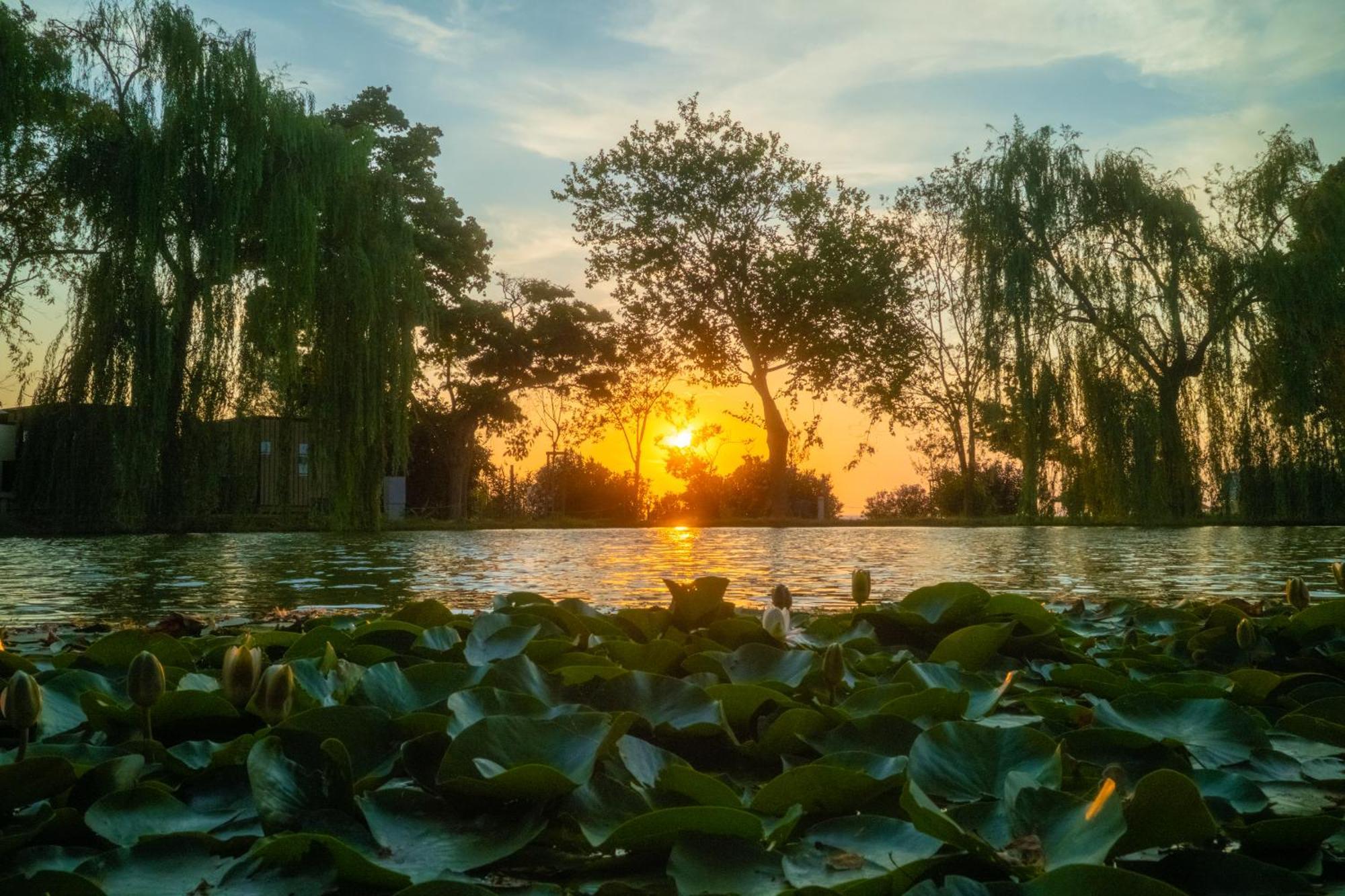Trasimeno Glamping Resort Magione Dış mekan fotoğraf